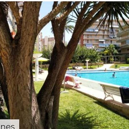 Apartamento Entero En La Playa San Juan Benacantil Alicante Exterior photo