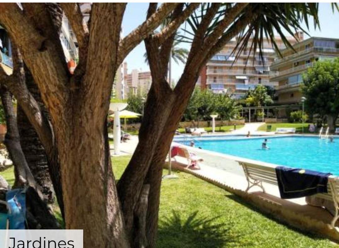 Apartamento Entero En La Playa San Juan Benacantil Alicante Exterior photo